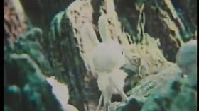 Watch Как барашек и тушканчик добро искали 1981 мультфильм